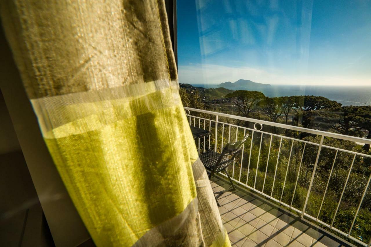 Apartamento Bellatrix